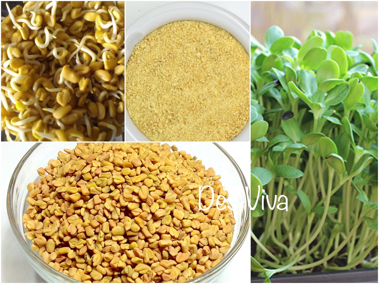 All About Fenugreek (Methi) with Benefits – Welcome to Bhavna's Kitchen &  Living!