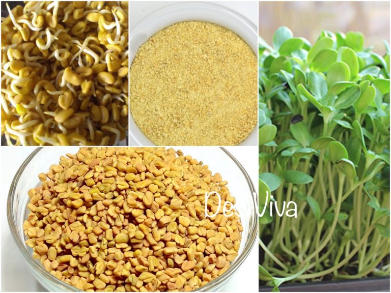 All About Fenugreek (Methi) with Benefits