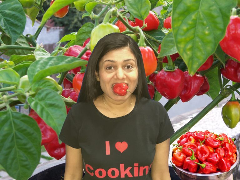 People who eat spicy food live longer…What?